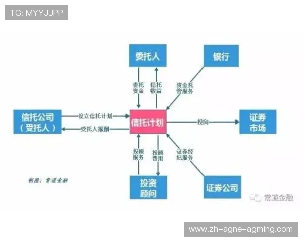 法甲联赛组织结构剖析与管理模式演进